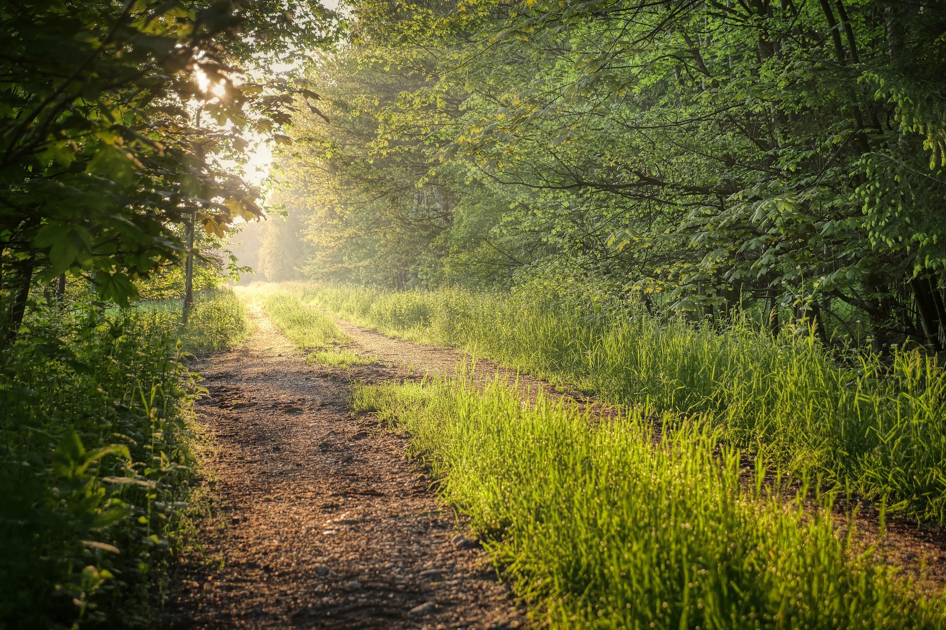 Could my anxiety and overthinking have been ADHD all along?